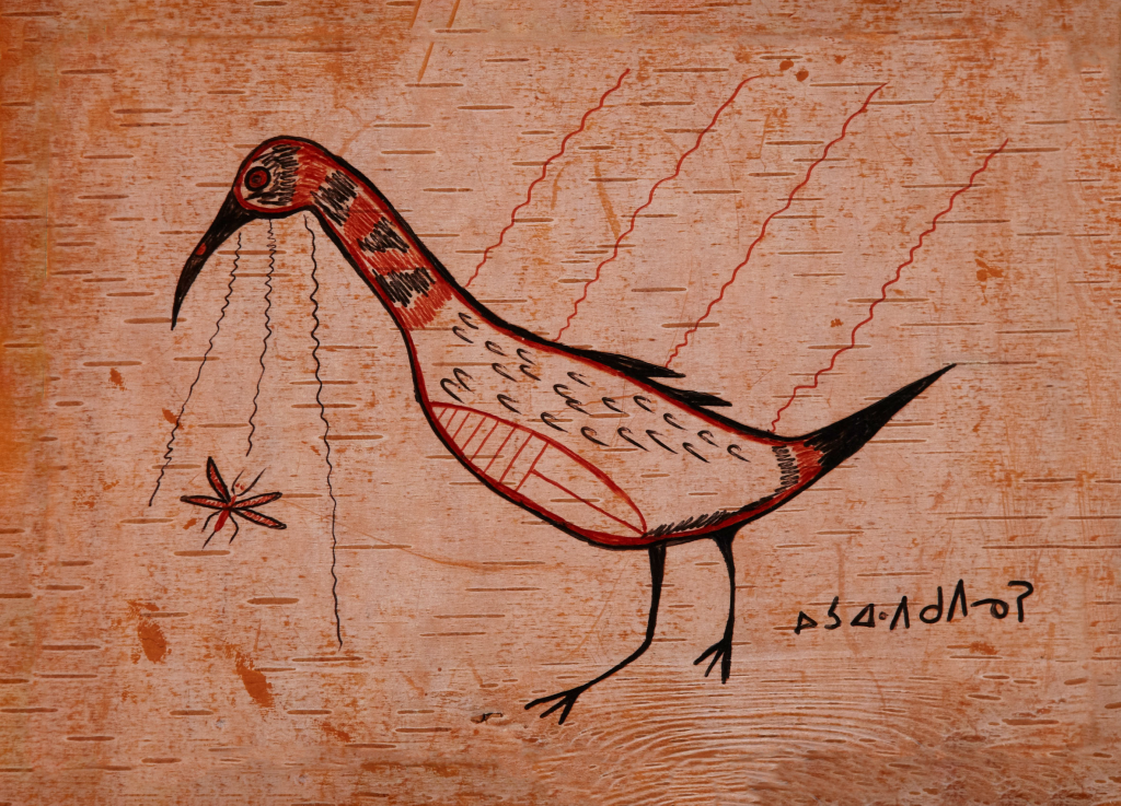 A sketch of a bird and a dragonfly on birch bark scroll